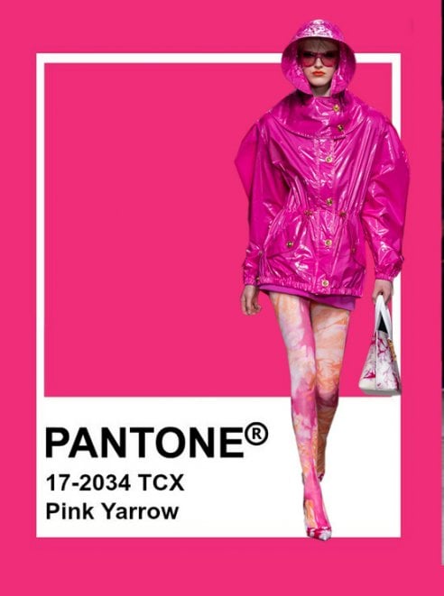 pantone (8).jpg